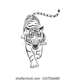 Tigre negro con fondo blanco. Animal salvaje vectorial. Safari.