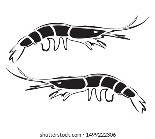 Black tiger shrimp art animal engraving vector illustration.  Black and white hand drawn image