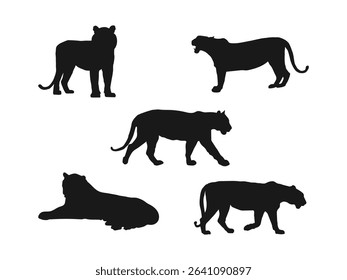 Black tiger silhouettes vector illustration. Tiger Silhouettes Showcase Majestic Wildlife. vector silhouette illustration isolated on a white background.
