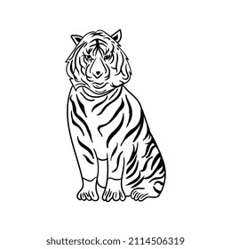 black tiger sketch on white background