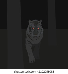 Black tiger walking through the dark forest
