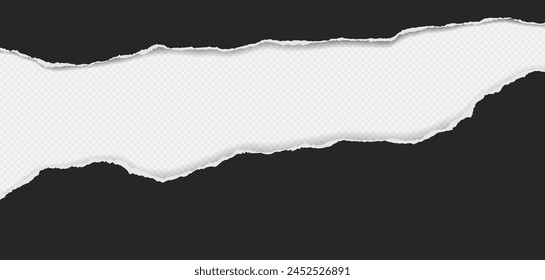 Black torn paper strips with soft shadow are on white background Vector illustration.