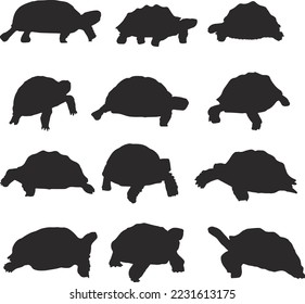 Black Tortoise Vector Art Stock.