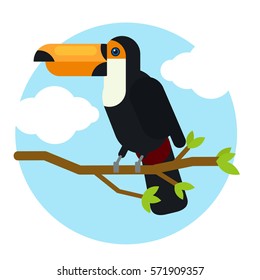 Black toucan laying on the tree branch outdoor nature animal
