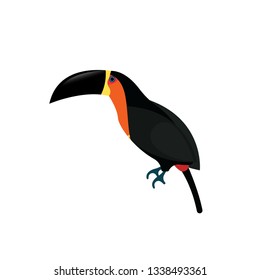 black toucan vector on a white background