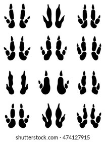 Black traces of kangaroo paws, vector