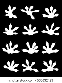 Black tracks of lizards on a white background