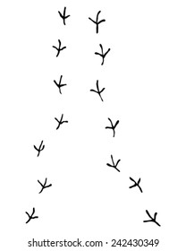 Black trail of birds,vector