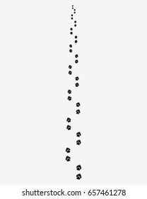 Black trail of dog, forward, vector illustration