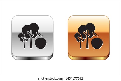Black Tree with apple icon isolated on white background. Agricultural plant. Organic farm product. Gardening theme. Silver-gold square button. Vector Illustration