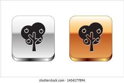 Black Tree with apple icon isolated on white background. Agricultural plant. Organic farm product. Gardening theme. Silver-gold square button. Vector Illustration