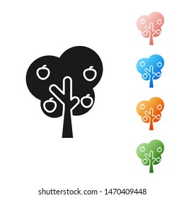 Black Tree with apple icon isolated on white background. Agricultural plant. Organic farm product. Gardening theme. Set icons colorful. Vector Illustration