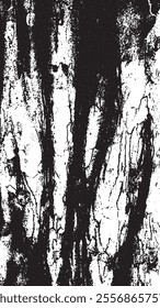 Black tree bark texture. Bark on a white background. Old tree background vector, wooden, grunge, distressed texture.