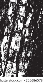 Black tree bark texture. Bark on a white background. Old tree background vector, wooden, grunge, distressed texture.