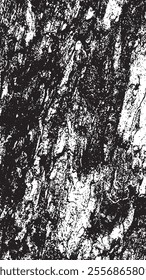 Black tree bark texture. Bark on a white background. Old tree background vector, wooden, grunge, distressed texture.