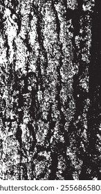 Black tree bark texture. Bark on a white background. Old tree background vector, wooden, grunge, distressed texture.