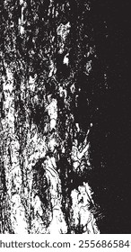 Black tree bark texture. Bark on a white background. Old tree background vector, wooden, grunge, distressed texture.