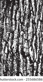 Black tree bark texture. Bark on a white background. Old tree background vector, wooden, grunge, distressed texture.