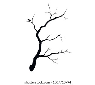 Black tree branch with crows. Vector isolated illustration.