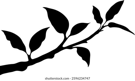 Black tree branch with leaves isolated on white background, a natural and floral design illustrating spring growth and beauty with Shadow Silhouettes.