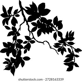 Black tree branch silhouette isolated on white background. Detailed vector illustration of nature plant.Natural tree shadow overlay. Vector silhouette of leaves and branches for design element and architectural rendering.