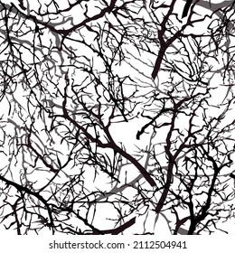 Black tree branches on a white background.