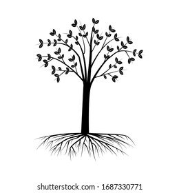 black tree with crown and roots