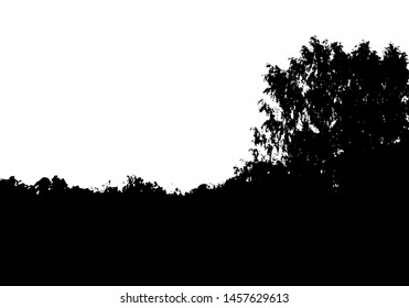 Black tree forest silhouette. Card with copy space. Isolated on white background. Vector nature illustration for your design