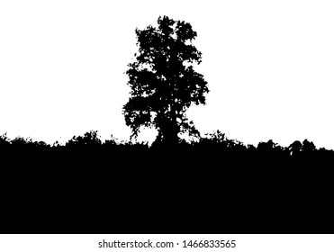 Black Tree Forest Silhouette Card Copy Stock Vector (Royalty Free ...