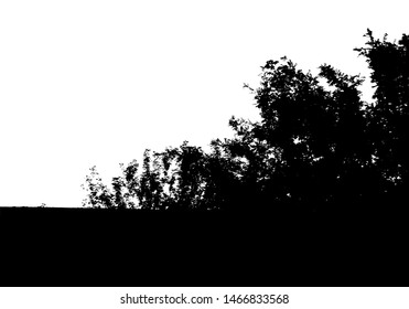 Black tree forest silhouette. Card with copy space. Isolated on white background. Vector nature illustration for your design