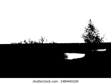 Black tree forest silhouette. Card with copy space. Isolated on white background. Vector nature illustration for your design