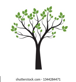 Black Tree with green Leaves on white background. Vector Outline Illustration.