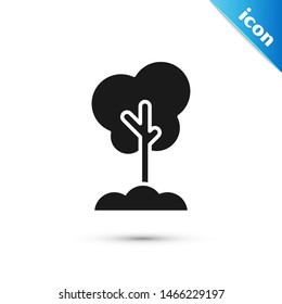 Black Tree in the ground icon isolated on white background. Forest symbol.  Vector Illustration