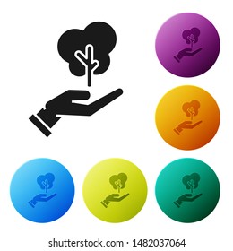 Black Tree in hand of environmental protection icon isolated on white background. Seed and seedling. Planting sapling. Ecology concept. Set icons colorful circle buttons. Vector Illustration