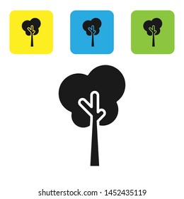 Black Tree icon isolated on white background. Forest symbol. Set icons colorful square buttons. Vector Illustration