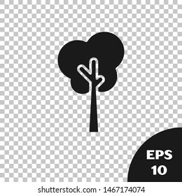 Black Tree icon isolated on transparent background. Forest symbol.  Vector Illustration