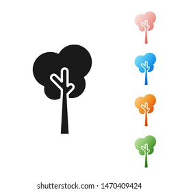 Black Tree icon isolated on white background. Forest symbol. Set icons colorful. Vector Illustration