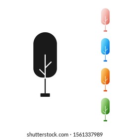Black Tree icon isolated on white background. Forest symbol. Set icons colorful. Vector Illustration