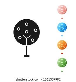 Black Tree icon isolated on white background. Forest symbol. Set icons colorful. Vector Illustration