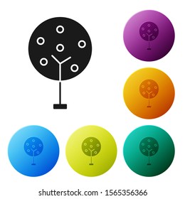 Black Tree icon isolated on white background. Forest symbol. Set icons colorful circle buttons. Vector Illustration