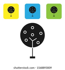 Black Tree icon isolated on white background. Forest symbol. Set icons colorful square buttons. Vector Illustration