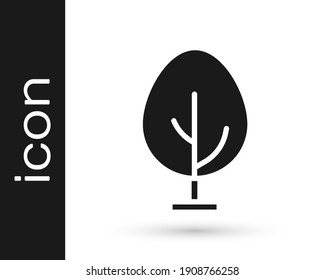 Icono de Árbol negro aislado en fondo blanco. Símbolo de bosque.  Vector