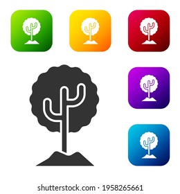 Black Tree icon isolated on white background. Forest symbol. Set icons in color square buttons. Vector Illustration