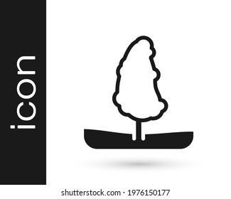 Black Tree icon isolated on white background. Forest symbol.  Vector