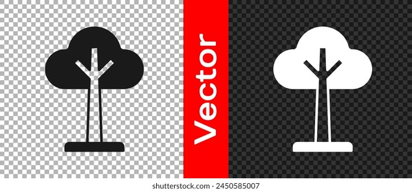 Black Tree icon isolated on transparent background. Forest symbol.  Vector