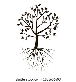 árbol negro con raíces exuberantes y hojas