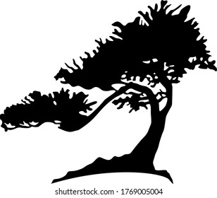 árbol negro sobre luz blanca