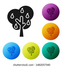 Black Tree with pears icon isolated on white background. Agricultural plant. Organic farm product. Gardening theme. Set icons colorful circle buttons. Vector Illustration