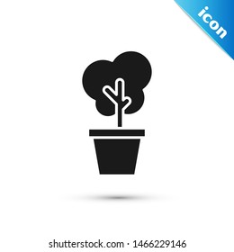 Black Tree in pot icon isolated on white background. Houseplant in pots. Natural decor for home and interior. Potted plant sign.  Vector Illustration