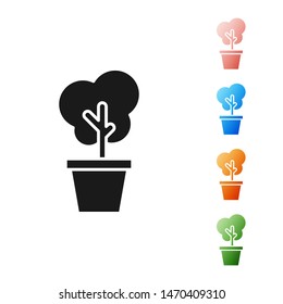 Black Tree in pot icon isolated on white background. Houseplant in pots. Natural decor for home and interior. Potted plant sign. Set icons colorful. Vector Illustration